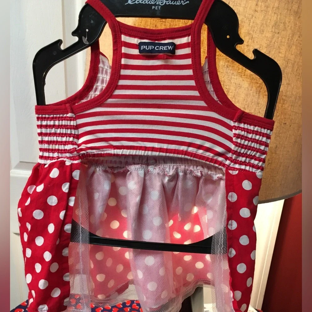 Fur baby Valentines Day ❤️ Dress 🐶🐾